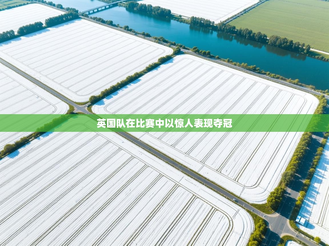 开云体育多语言中文版-英国队在比赛中以惊人表现夺冠  第4张