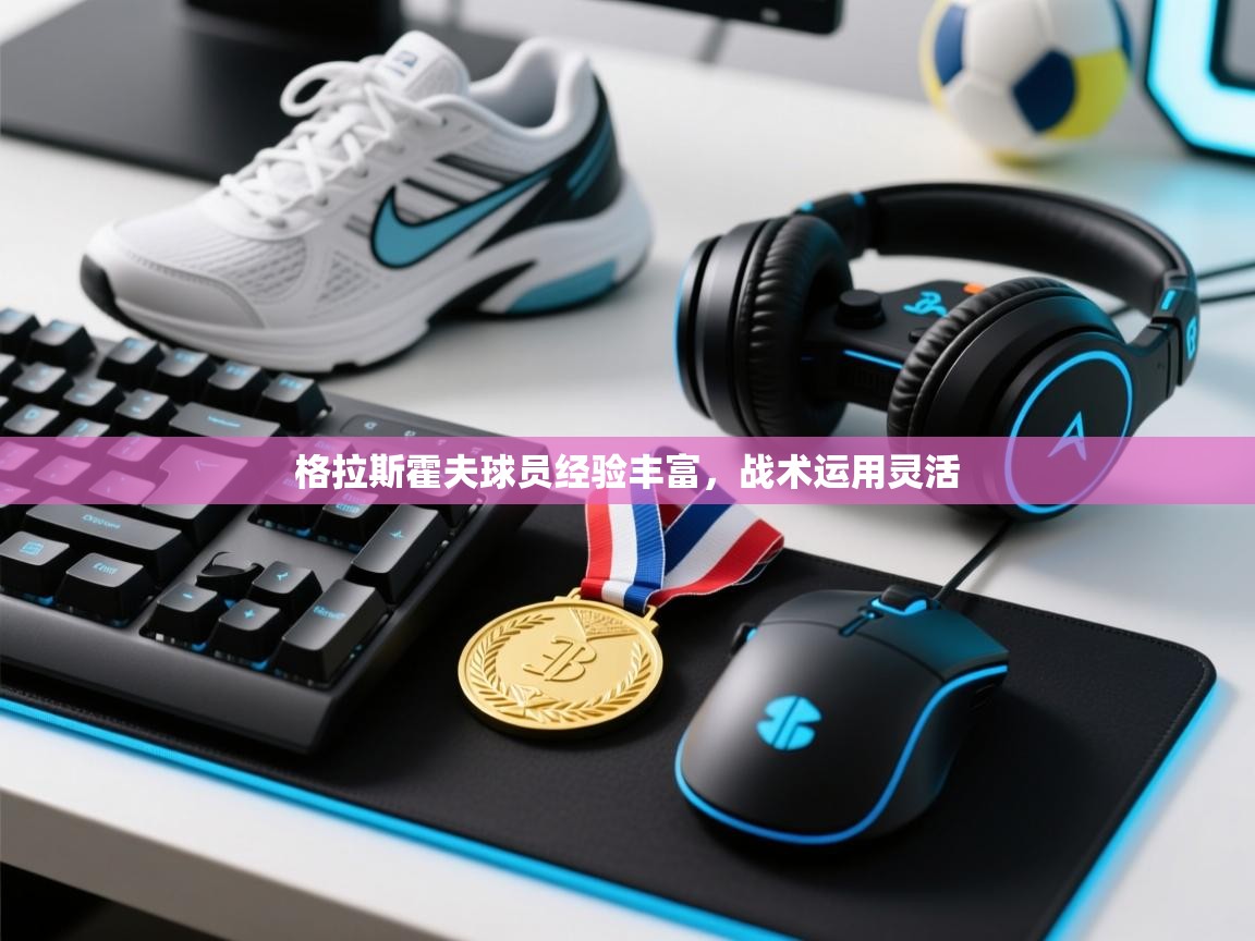 开云体育登录入口-格拉斯霍夫球员经验丰富，战术运用灵活  第4张