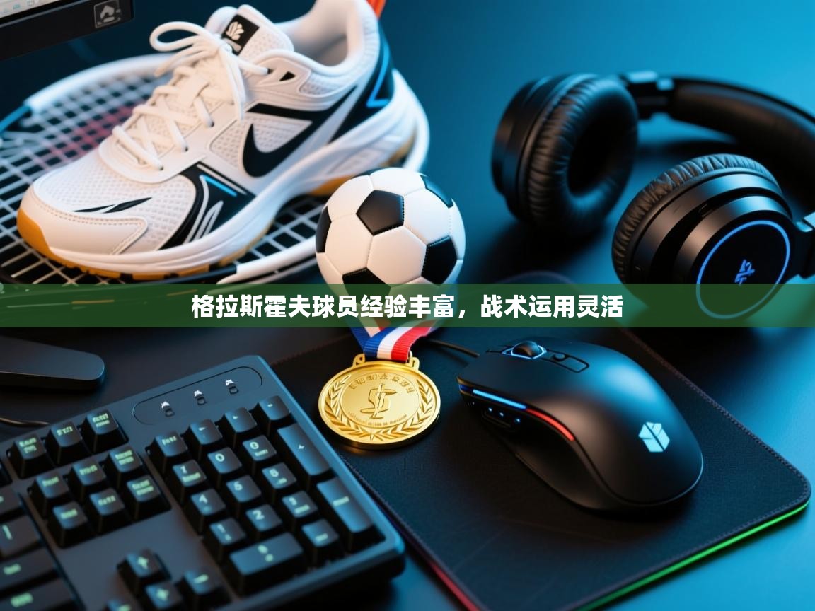 开云体育登录入口-格拉斯霍夫球员经验丰富，战术运用灵活  第3张