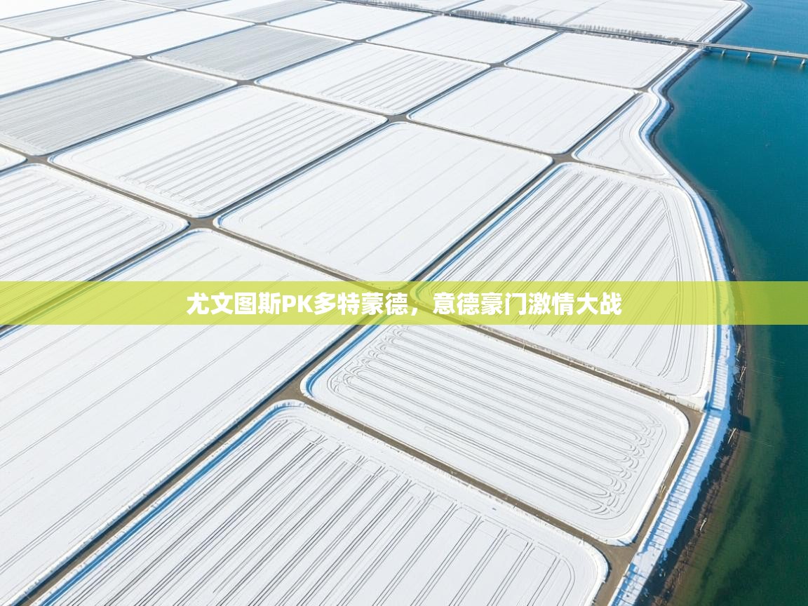 开云体育登录入口网址-尤文图斯PK多特蒙德，意德豪门激情大战  第1张