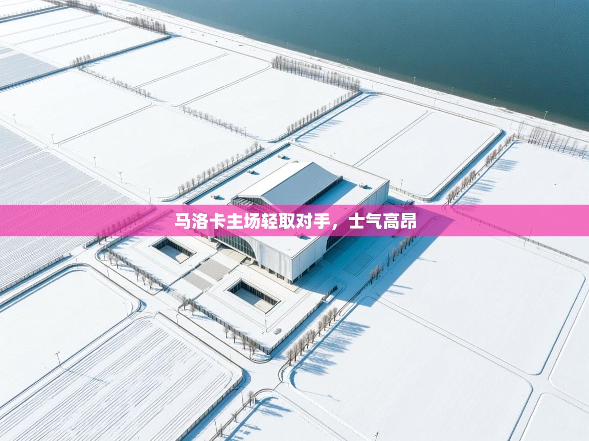 云开体育app官网入口-马洛卡主场轻取对手，士气高昂  第2张