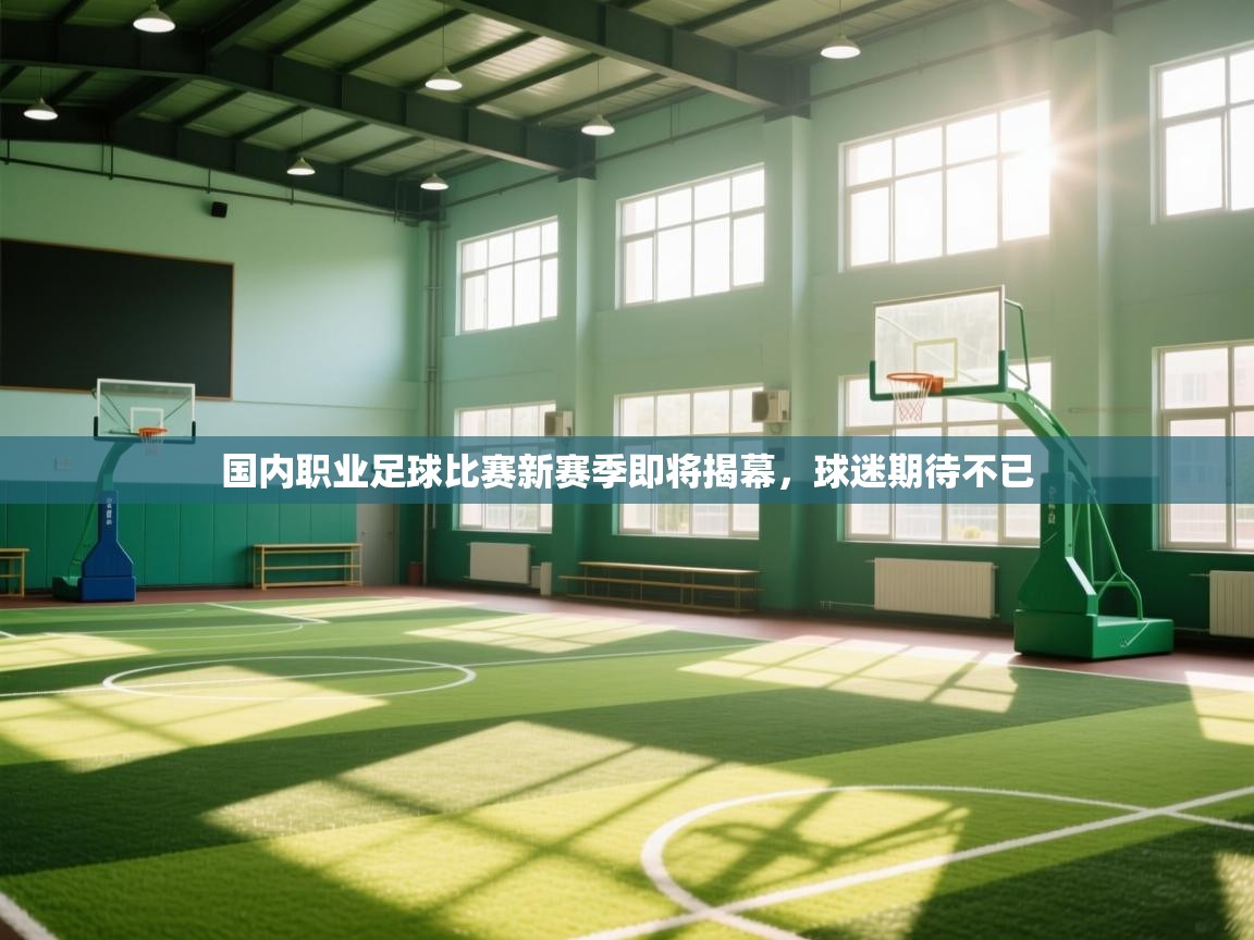 开云体育app下载安装免费-国内职业足球比赛新赛季即将揭幕，球迷期待不已  第1张