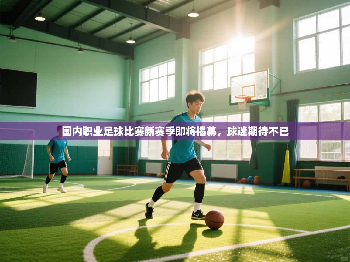 开云体育app下载安装免费-国内职业足球比赛新赛季即将揭幕，球迷期待不已  第2张