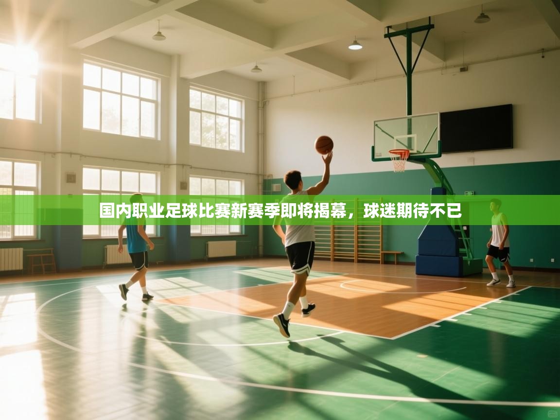 开云体育app下载安装免费-国内职业足球比赛新赛季即将揭幕，球迷期待不已  第3张